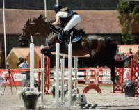 Vente de cheval : DACNIS